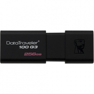 USB Флеш Kingston DT100G3 256GB черный