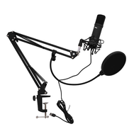Микрофон Ritmix RDM-180, Черный