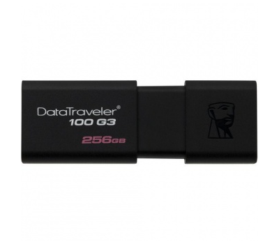 USB Флеш Kingston DT100G3 256GB черный