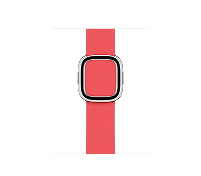 Ремешок Apple Watch 40мм, с современной пряжкой, размер S, розовый пион