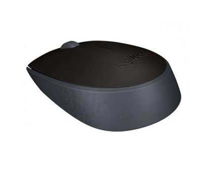 Беспроводная мышь Logitech M171 Black