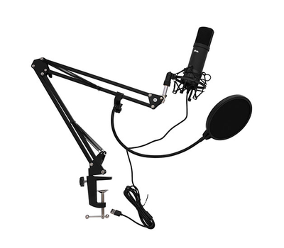 Микрофон Ritmix RDM-180, Черный