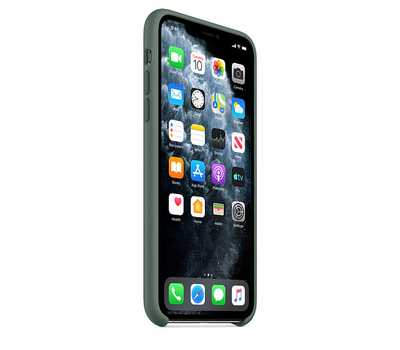 Чехол Apple iPhone 11 Pro Max Silicone Case Pine Green MX012