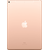 Планшет Apple iPad Air 10.5" Wi-Fi + 4G 64GB Gold