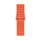 Ремешок Apple Watch 44мм 44mm Sunset Leather Loop