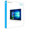 Операционная система Microsoft Windows 10 Home HAJ-00074, 32-bit/64-bit USB